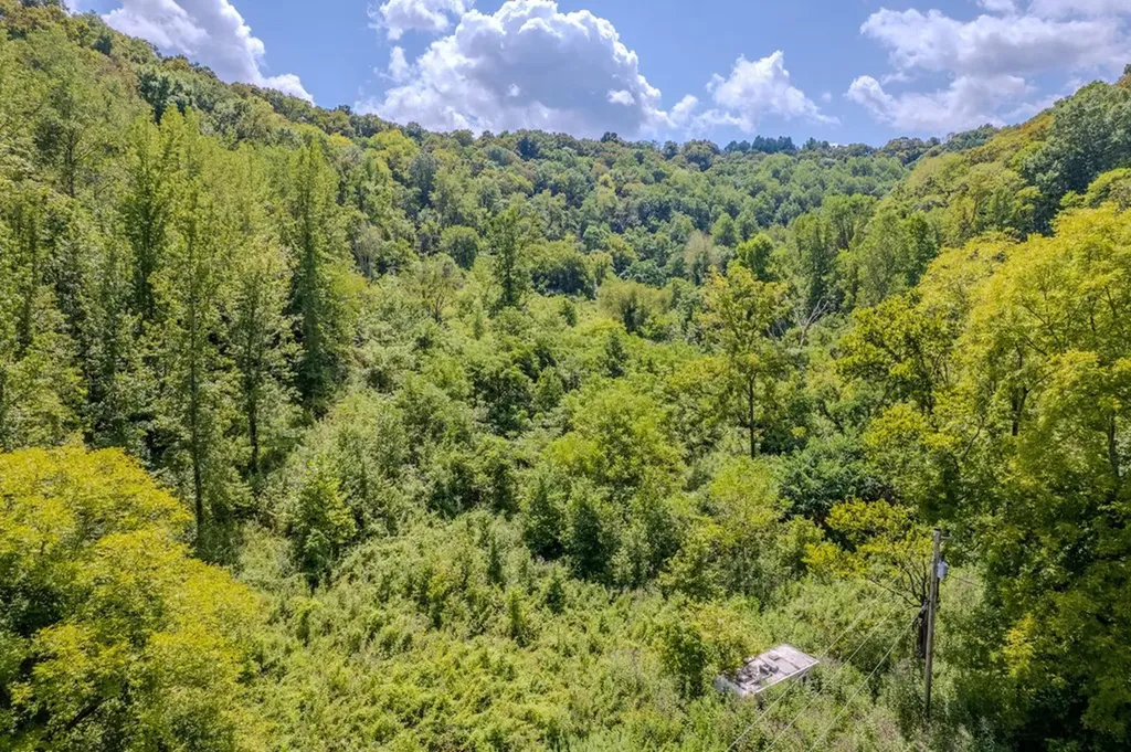 53.19AC Watts Hollow Road Buffalo Valley TN 38548