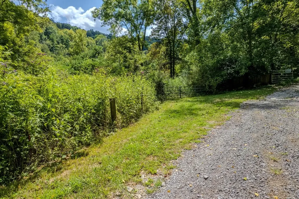 53.19AC Watts Hollow Road Buffalo Valley TN 38548