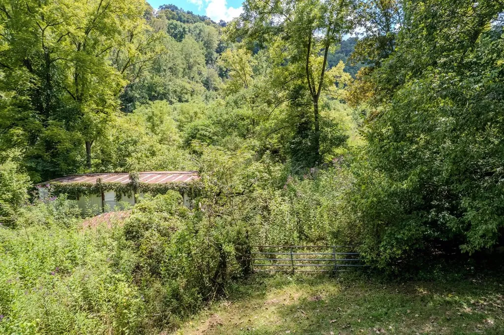 53.19AC Watts Hollow Road Buffalo Valley TN 38548