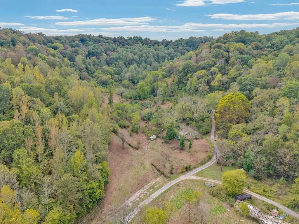 53.19AC Watts Hollow Road Buffalo Valley TN 38548