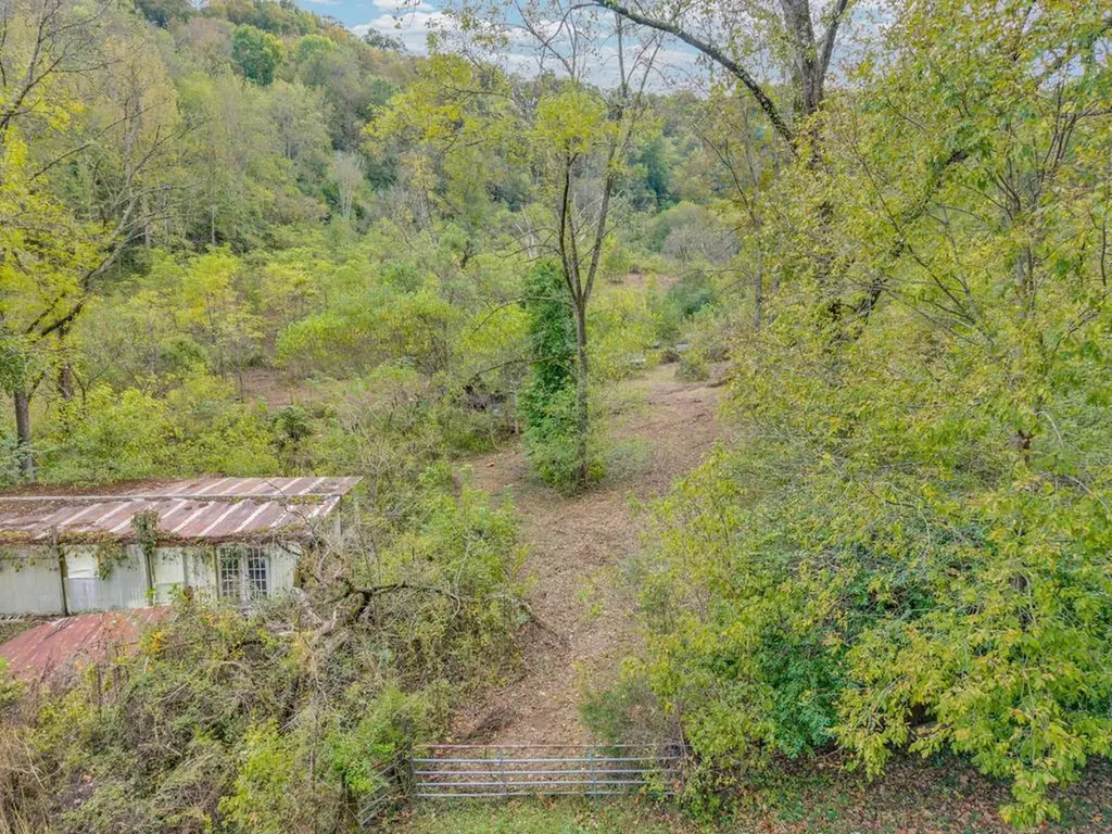 53.19AC Watts Hollow Road Buffalo Valley TN 38548