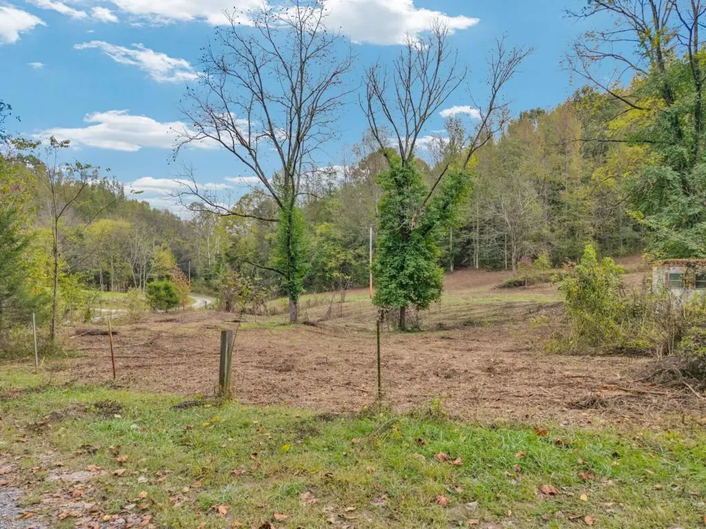 53.19AC Watts Hollow Road Buffalo Valley TN 38548