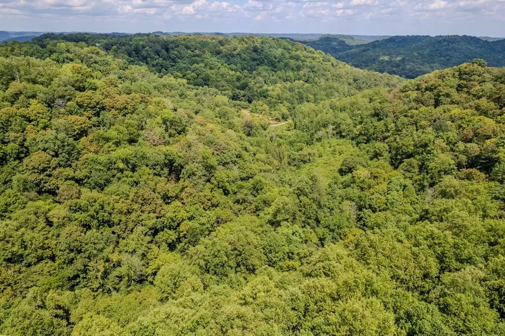 53.19AC Watts Hollow Road Buffalo Valley TN 38548