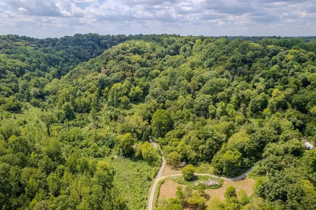 53.19AC Watts Hollow Road Buffalo Valley TN 38548
