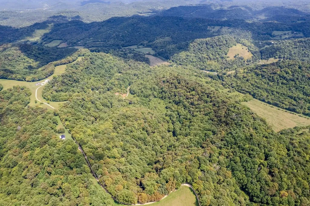 53.19AC Watts Hollow Road Buffalo Valley TN 38548