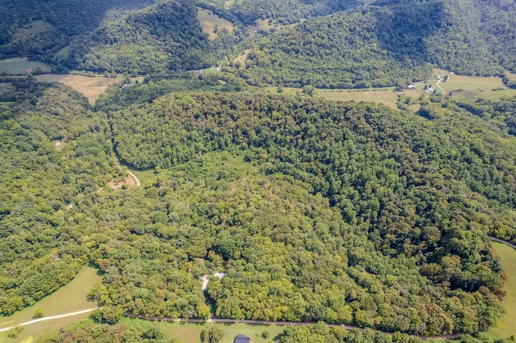 53.19AC Watts Hollow Road Buffalo Valley TN 38548