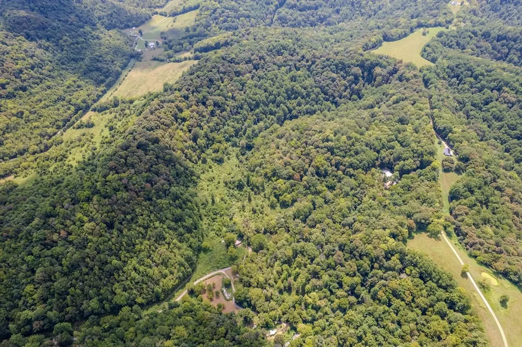 53.19AC Watts Hollow Road Buffalo Valley TN 38548