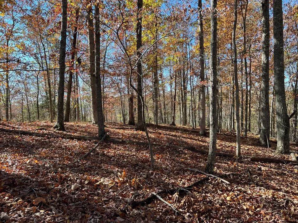 2.19 Ac Old Highway 53 Celina TN 38551