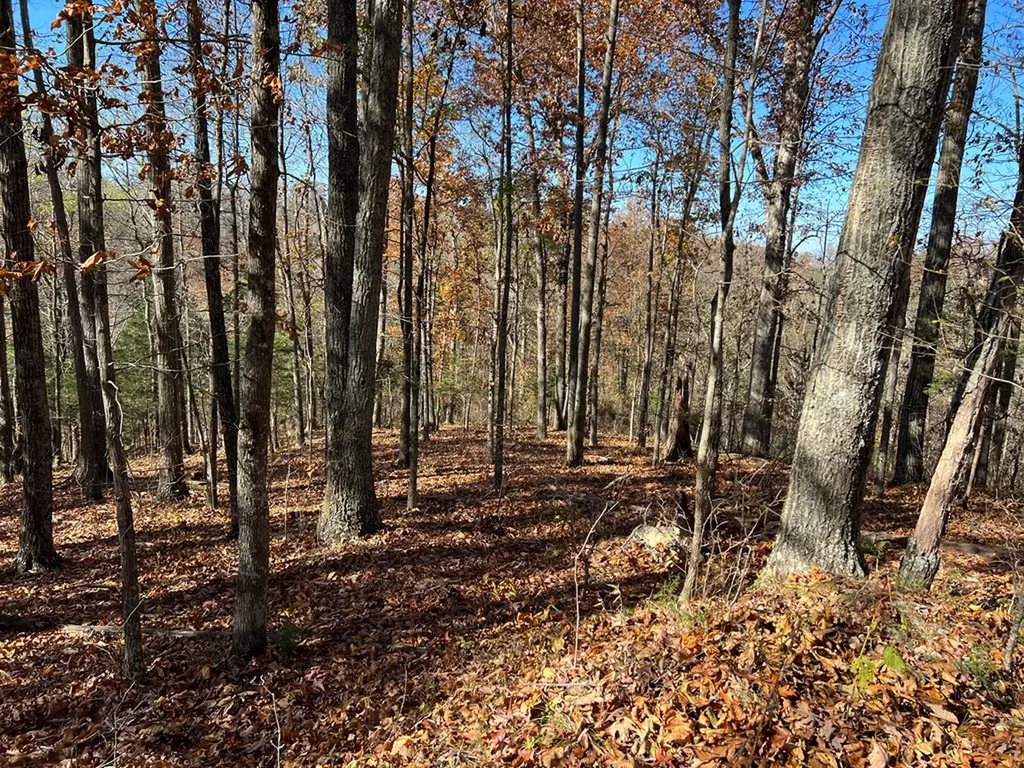 2.19 Ac Old Highway 53 Celina TN 38551