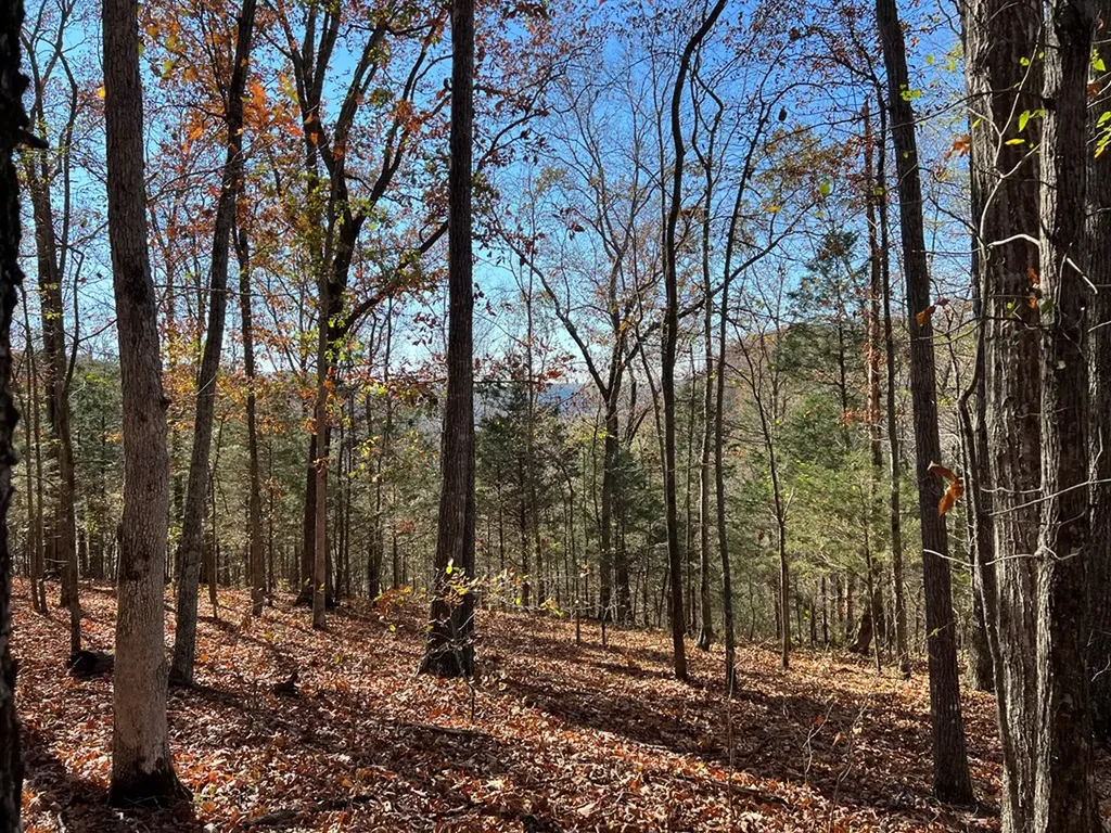 2.19 Ac Old Highway 53 Celina TN 38551