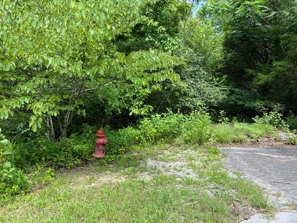 2.19 Ac Old Highway 53 Celina TN 38551