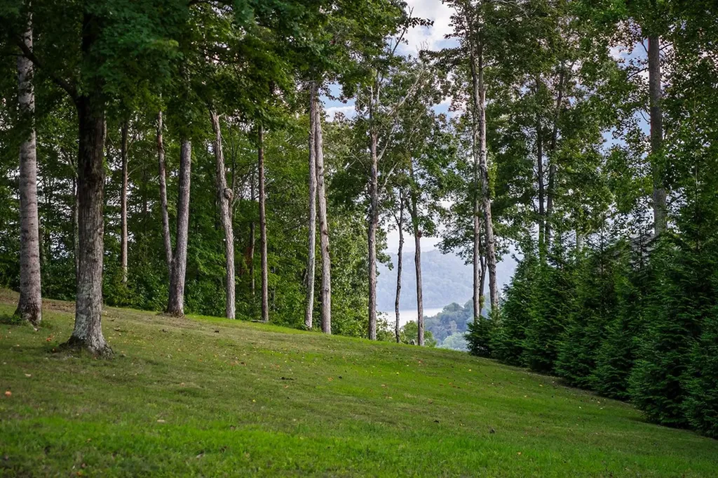 230 Storyland Drive Byrdstown TN 38549