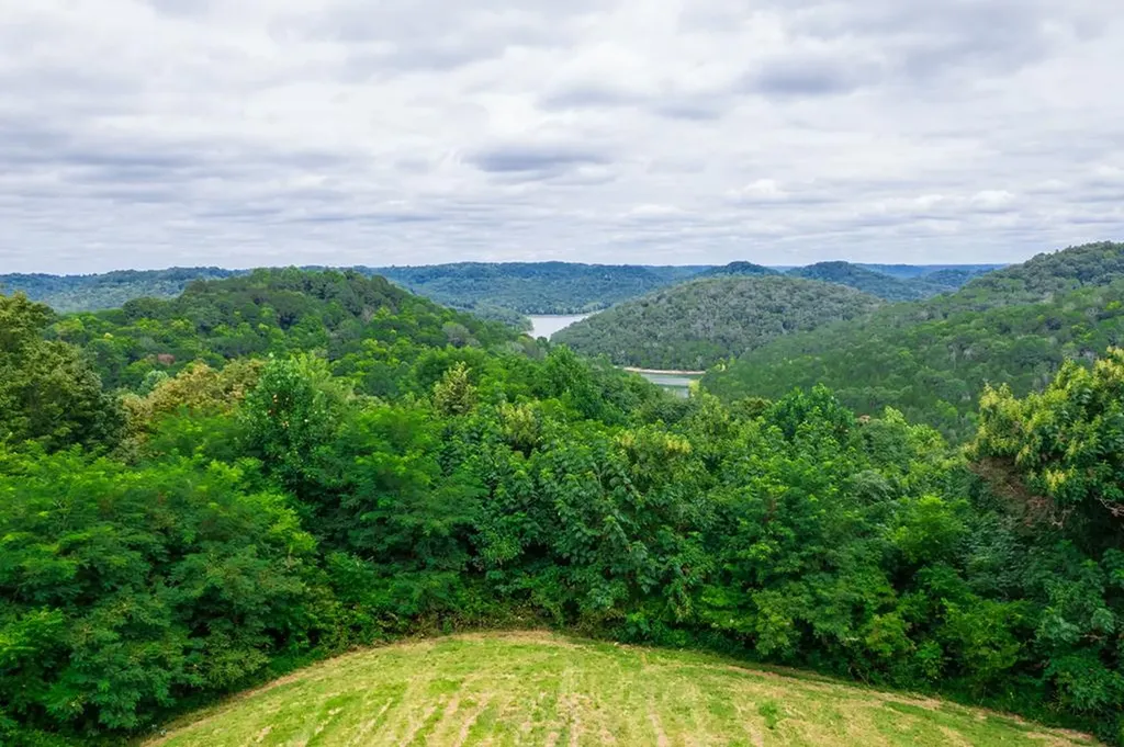 4445 Hurricane Ridge Smithville TN 37166