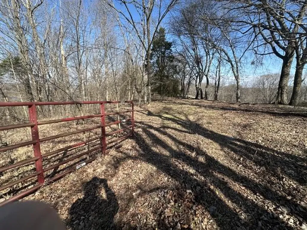 4445 Hurricane Ridge Smithville TN 37166