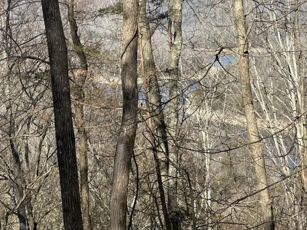 4445 Hurricane Ridge Smithville TN 37166