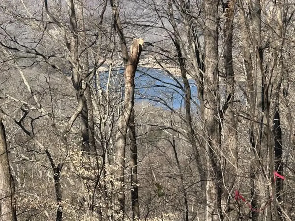 4445 Hurricane Ridge Smithville TN 37166