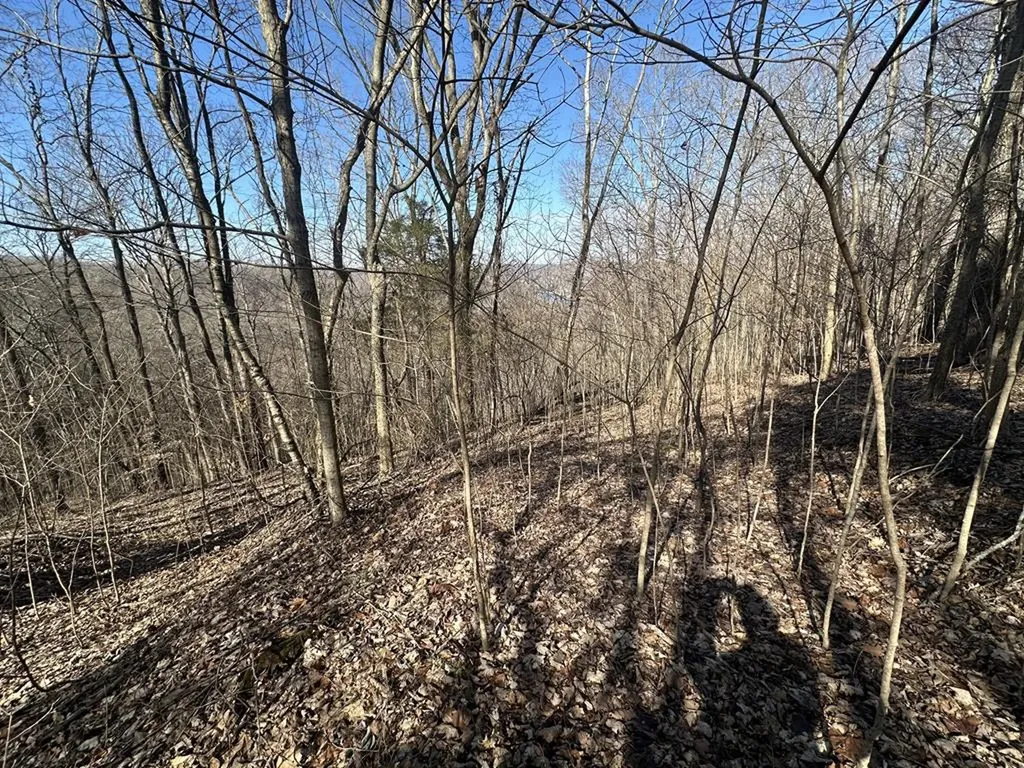 4445 Hurricane Ridge Smithville TN 37166