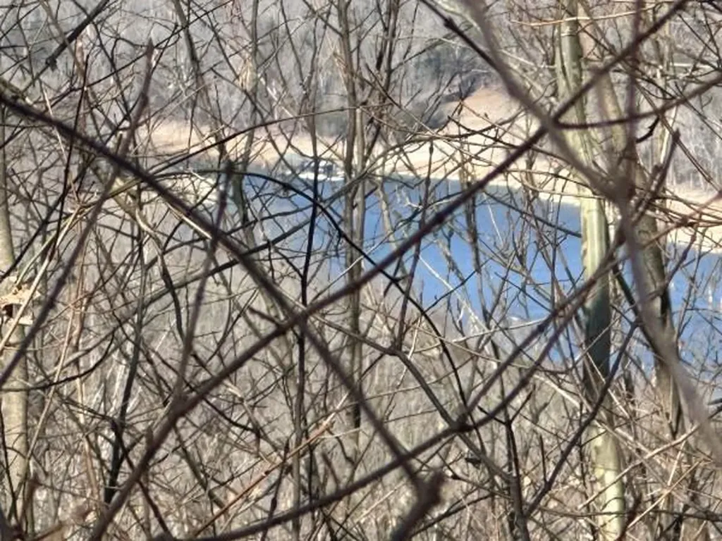 4445 Hurricane Ridge Smithville TN 37166