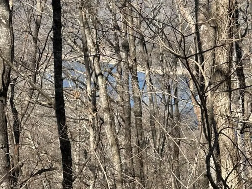 4445 Hurricane Ridge Smithville TN 37166