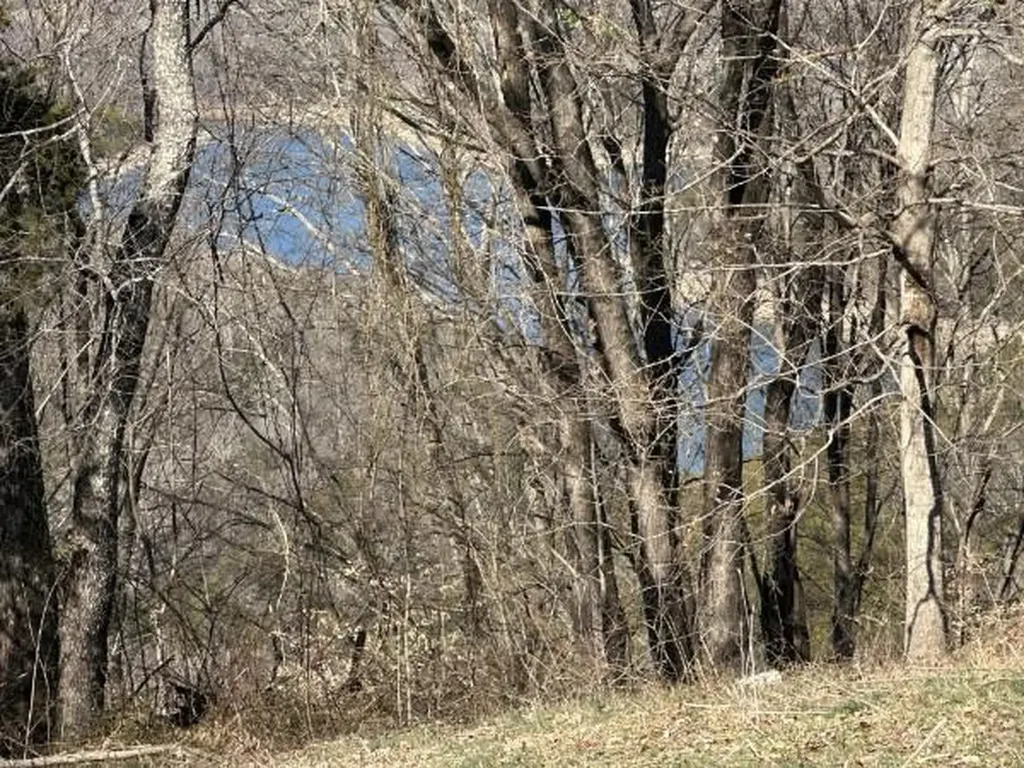 4445 Hurricane Ridge Smithville TN 37166