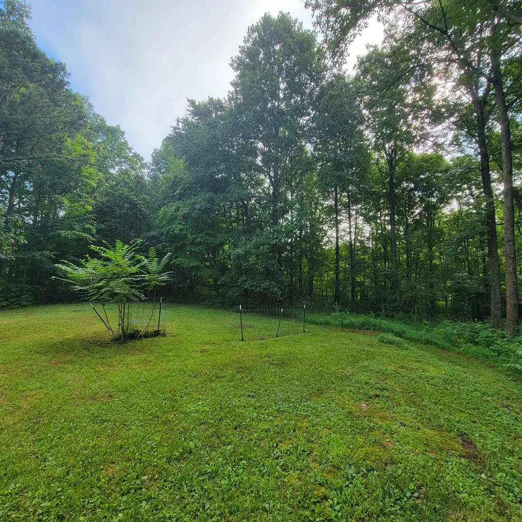 63 Longview Lane Jamestown TN 38556