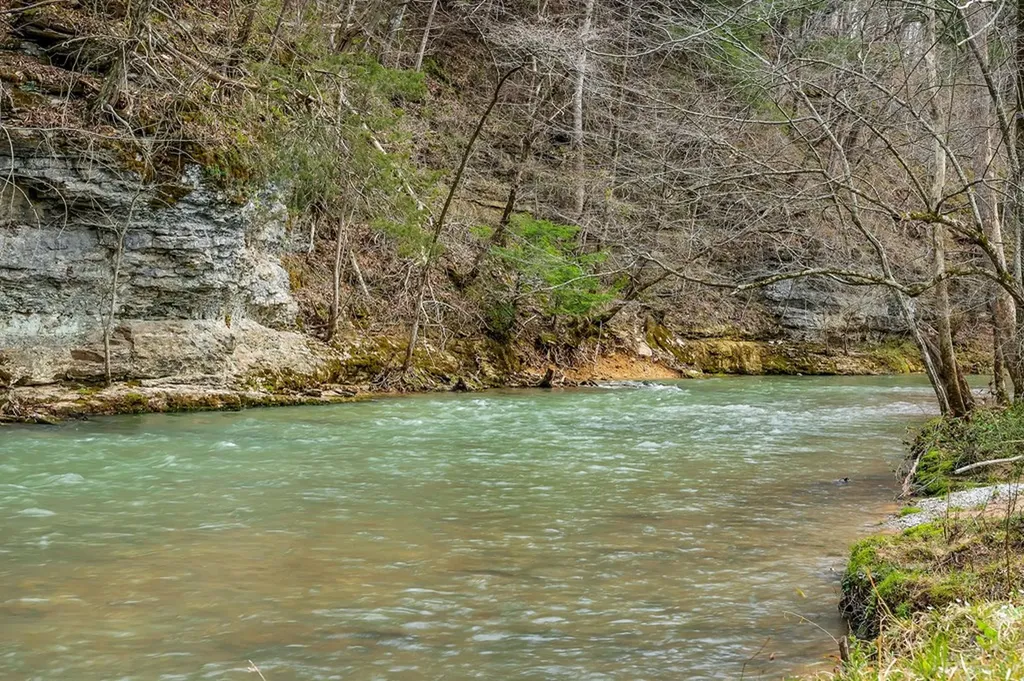 2375 Eagle Landing Drive Cookeville TN 38506