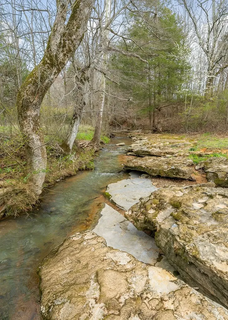 252 Ashley Lane Sparta TN 38583