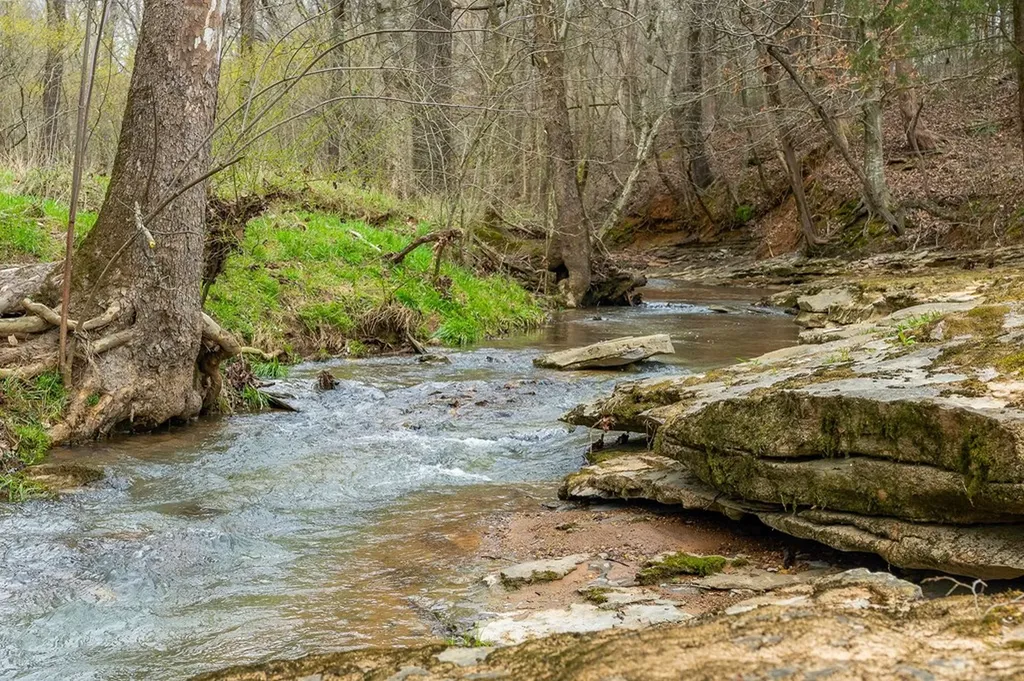 252 Ashley Lane Sparta TN 38583