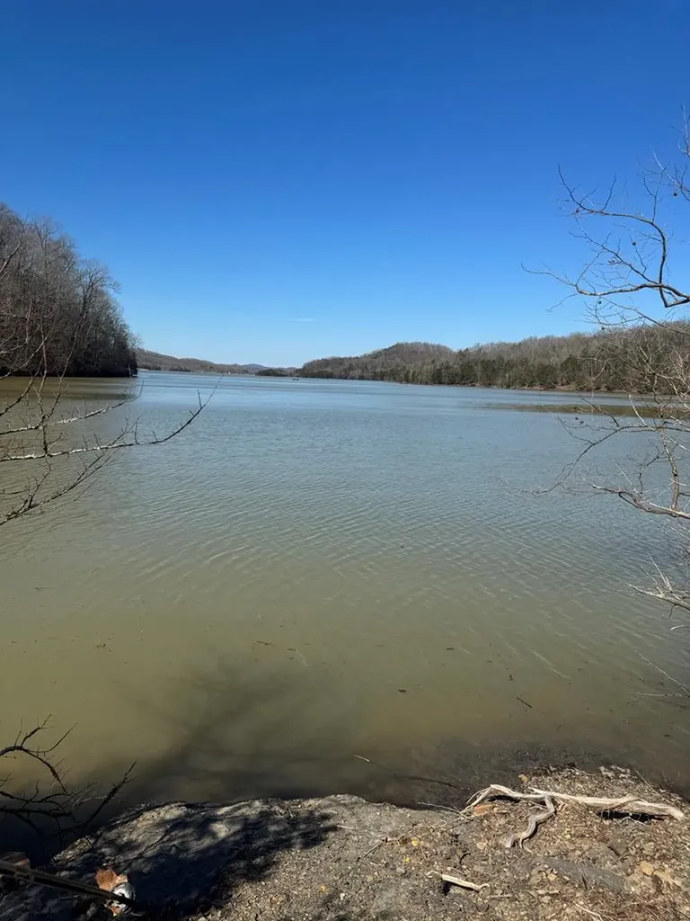 273 Amonett Ridge Byrdstown TN 38549