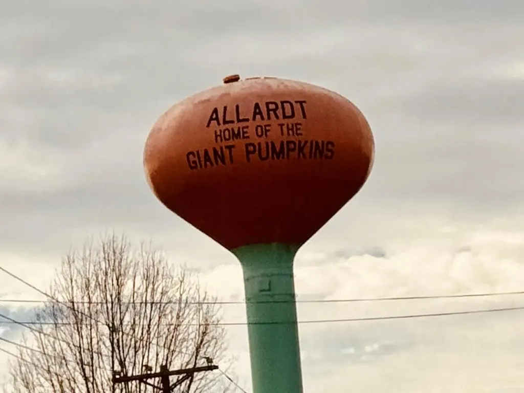 1032 Range Cemetery Road Allardt TN 38504