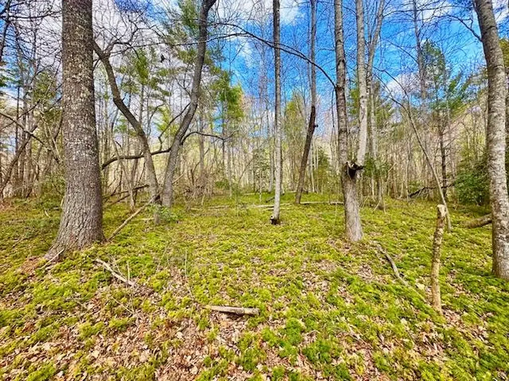 144 Gunter Place Road Sunbright TN 37872