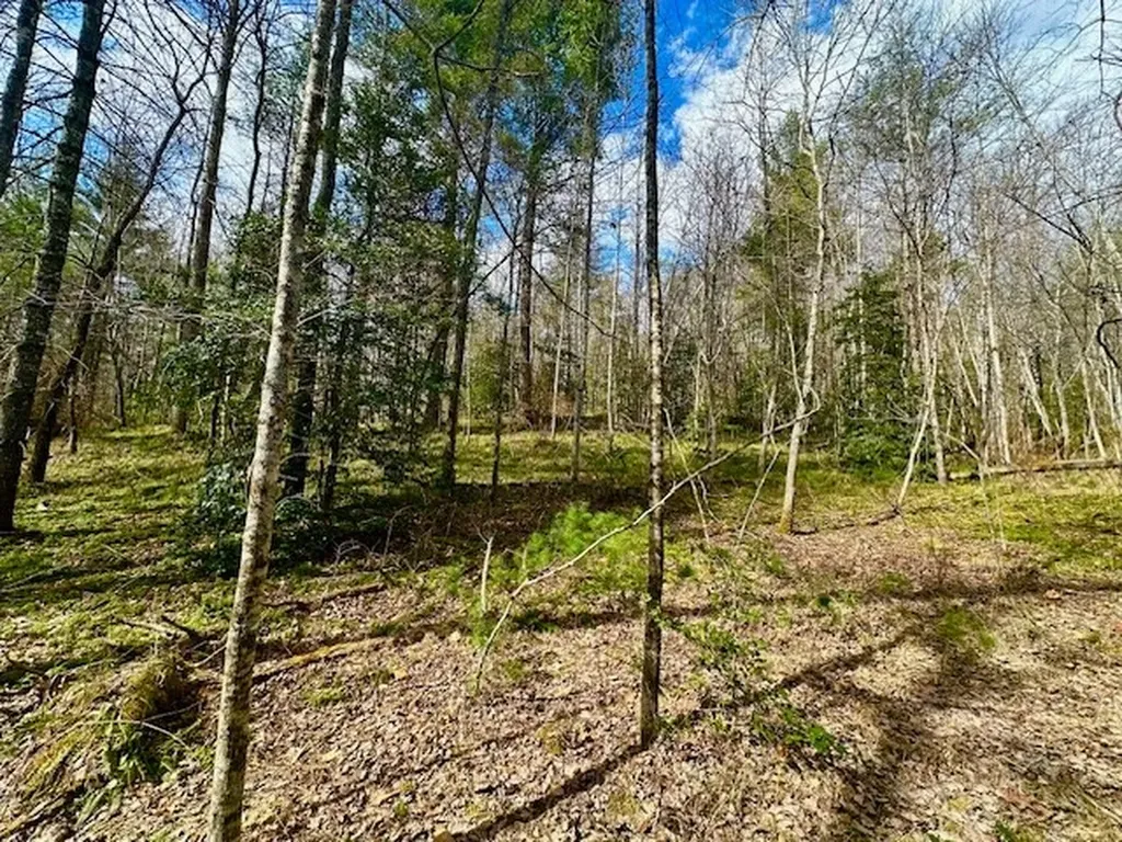 144 Gunter Place Road Sunbright TN 37872