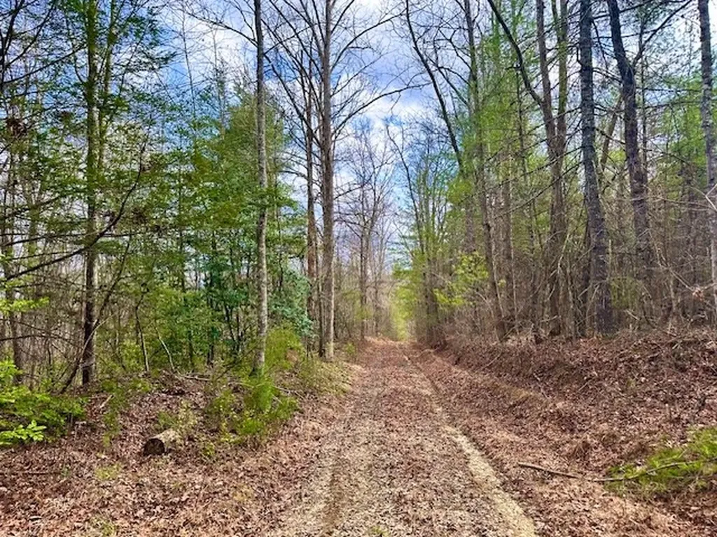 144 Gunter Place Road Sunbright TN 37872