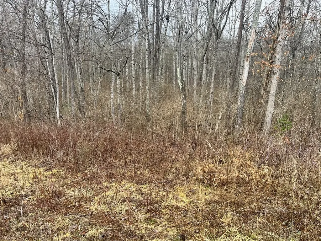 0 South Main Street - 31 Acres Crossville TN 38555