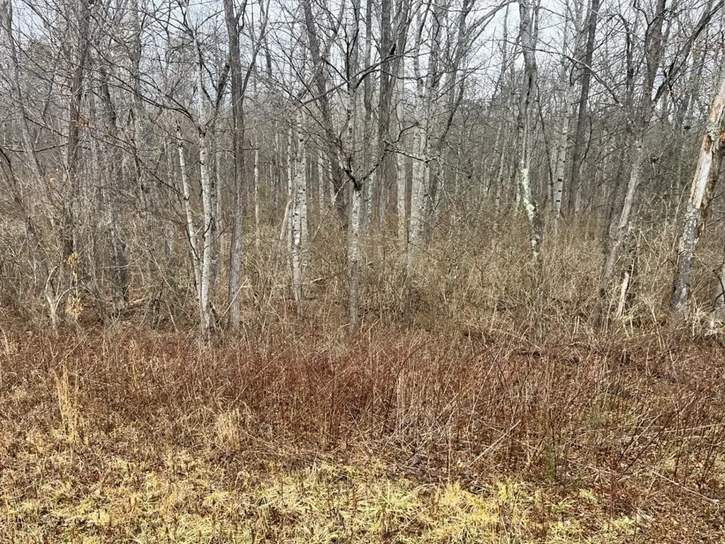 0 South Main Street - 31 Acres Crossville TN 38555