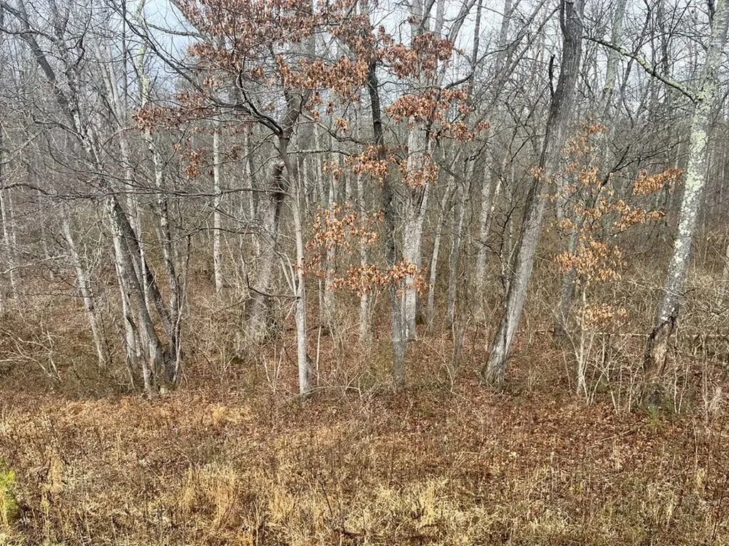 0 South Main Street - 31 Acres Crossville TN 38555