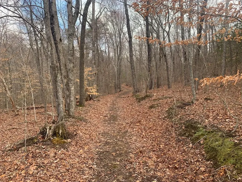 Lot 4 &5 Peaceful Lane Spencer TN 38585