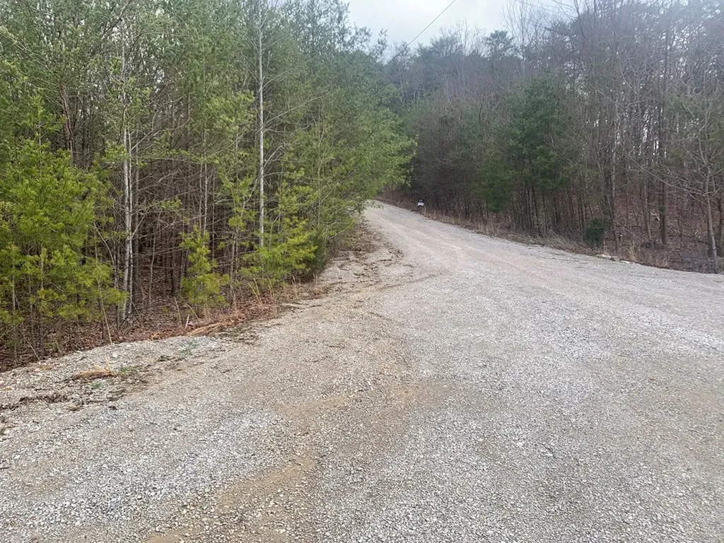 Lot 4 &5 Peaceful Lane Spencer TN 38585