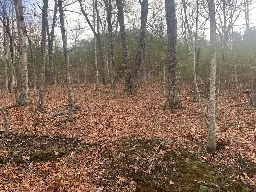 Lot 4 &5 Peaceful Lane Spencer TN 38585