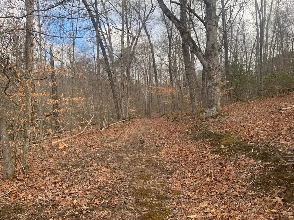 Lot 4 &5 Peaceful Lane Spencer TN 38585
