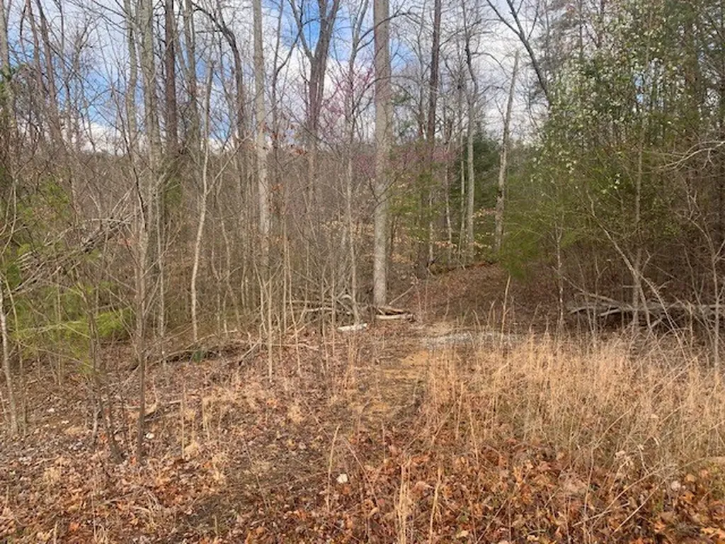 Lot 4 &5 Peaceful Lane Spencer TN 38585