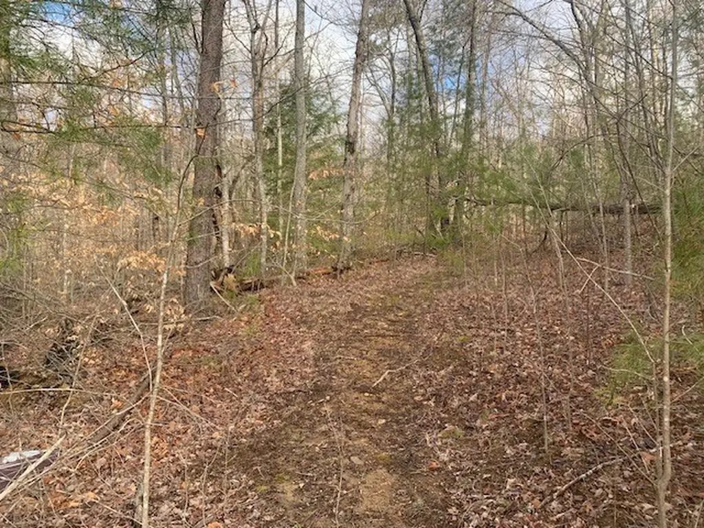 Lot 4 &5 Peaceful Lane Spencer TN 38585