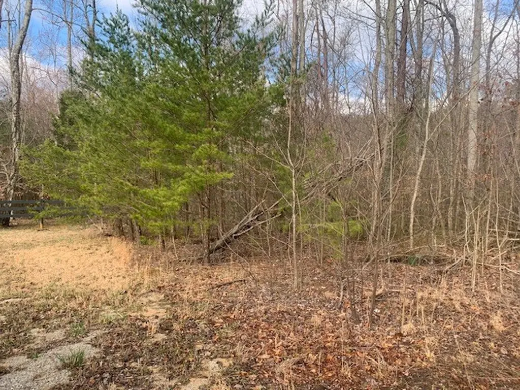Lot 4 &5 Peaceful Lane Spencer TN 38585