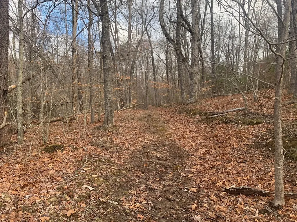 Lot 4 &5 Peaceful Lane Spencer TN 38585