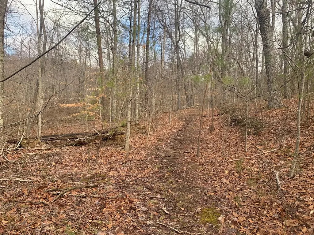 Lot 4 &5 Peaceful Lane Spencer TN 38585