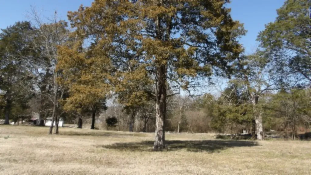 1586 Needmore Road Old Hickory TN 37138