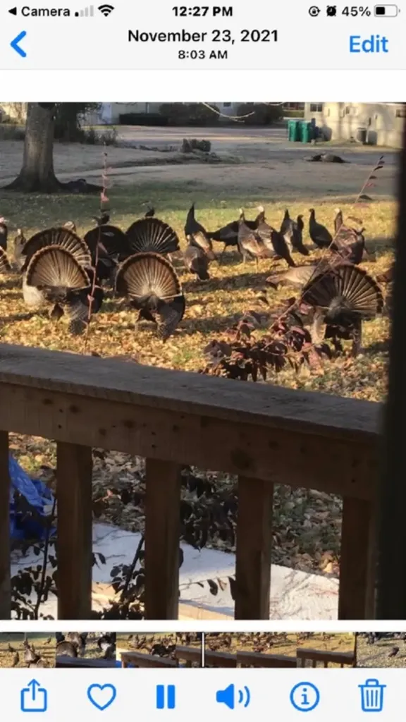 1586 Needmore Road Old Hickory TN 37138