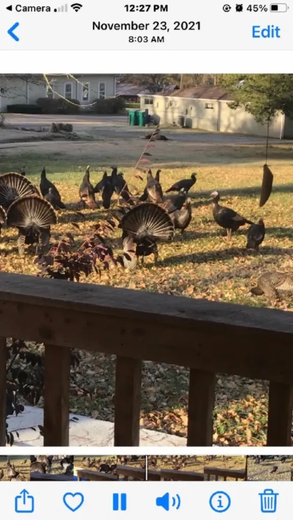 1586 Needmore Road Old Hickory TN 37138