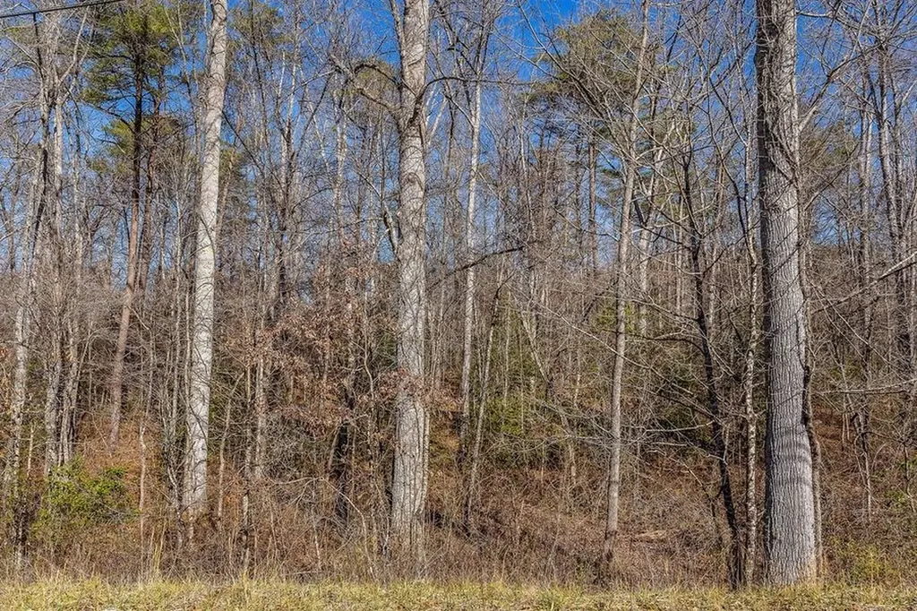 00 Sparta Highway Crossville TN 38572