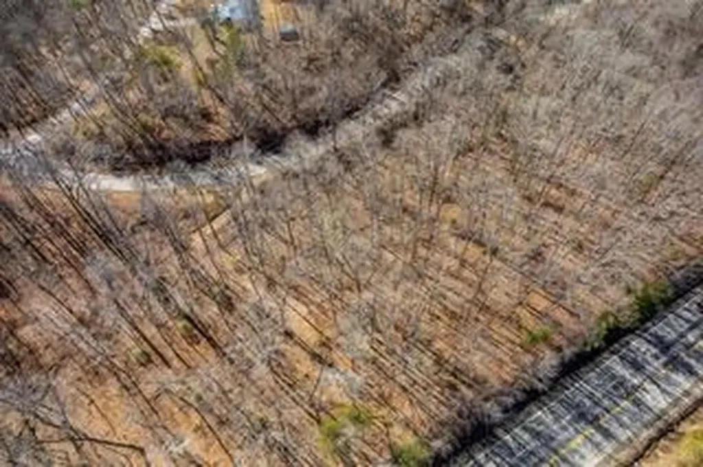 00 Sparta Highway Crossville TN 38572